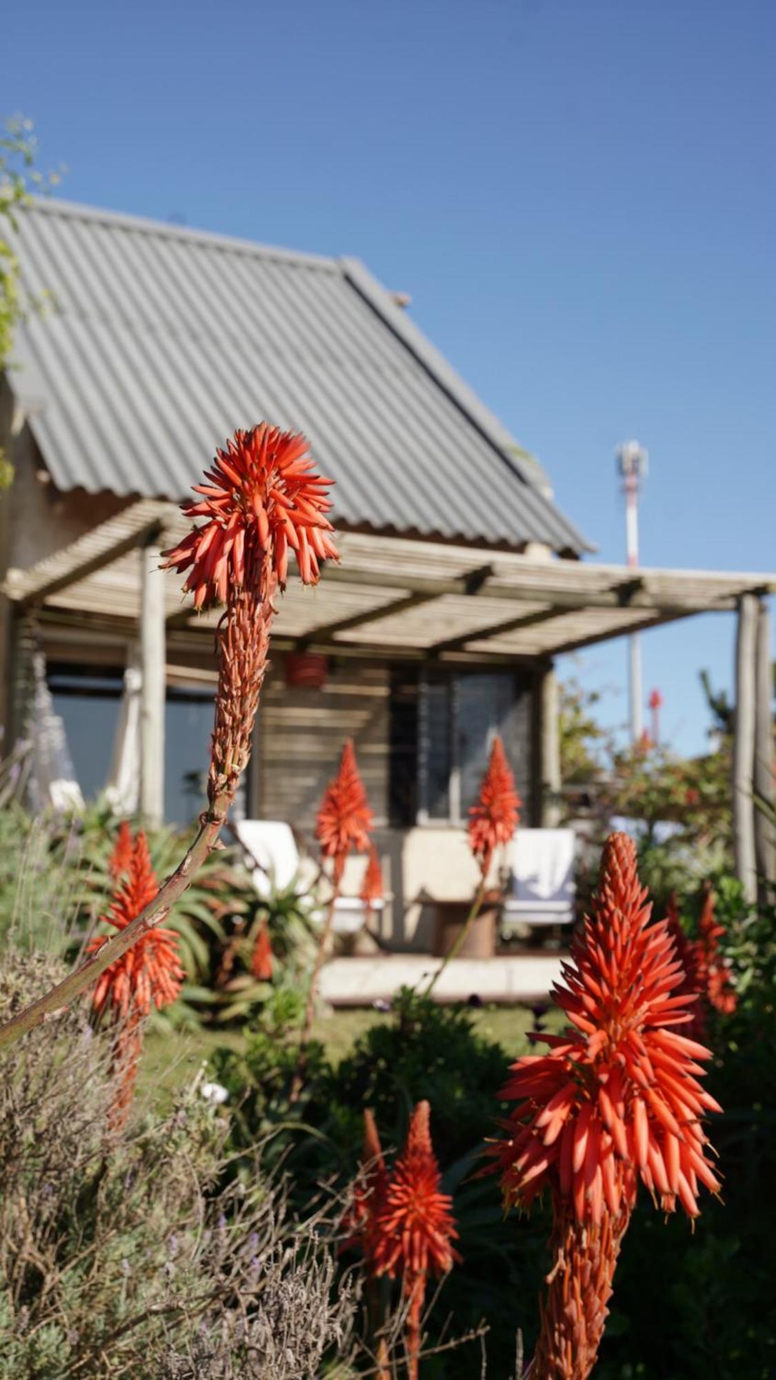 Bien Al Punta Del Diablo